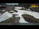 Webcam in Zell am Ziller, 2.9 km entfernt