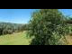Webcam in Saanenmöser, 1.1 mi away
