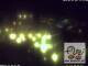 Webcam in Fulpmes, 5.4 km entfernt