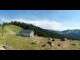 Webcam in Balderschwang, 13.1 km entfernt