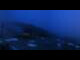 Webcam in Balderschwang, 9.7 km