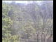 Webcam in Wyk auf Föhr, 0.9 mi away