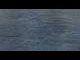 Webcam in Bremerhaven, 10 km entfernt