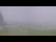 Webcam in Rachau, 13.4 km entfernt