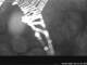 Webcam in Bad Hindelang, 2.7 mi away