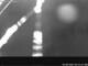 Webcam in Bad Hindelang, 7.1 km