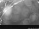 Webcam in Bad Hindelang, 7.1 km entfernt