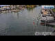 Webcam in Hard, 7 km entfernt