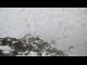 Webcam in Sölden, 1.3 km