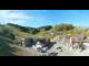 Webcam in Winterberg, 0.6 mi away