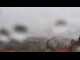 Webcam in Schierke, 0.6 mi away