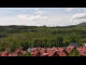 Webcam in Schierke, 9.9 km entfernt