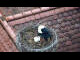 Webcam in Ehingen, 8 mi away