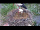 Webcam in Ehingen, 6.6 mi away