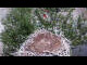 Webcam in Ehingen, 6.6 mi away