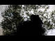 Webcam in Ehingen, 20.8 km