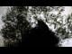 Webcam in Ehingen, 20.8 km