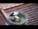 Webcam in Ehingen, 8 mi away