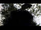 Webcam in Ehingen, 26.5 km entfernt