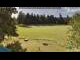 Webcam in Todtnauberg, 8 km