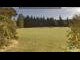 Webcam in Todtnauberg, 8 km