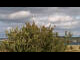 Webcam in Kiel, 8.6 km entfernt