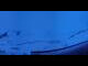 Webcam in Laax, 10.3 km