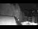 Webcam in Wagrain, 7.4 km