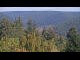 Webcam in Bad Wildbad, 20.3 km