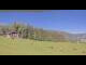 Webcam in Hirschegg, 4.4 km