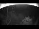Webcam in Bad Harzburg, 3.2 mi away