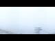 Webcam in Ried, 0 mi away