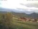 Webcam in Benediktbeuern, 7 km entfernt