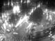 Webcam Dunedin