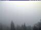Webcam at the Tegernsee, 3.8 mi away
