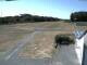 Webcam in Elz, 11.6 mi away