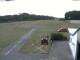 Webcam in Elz, 30.1 km