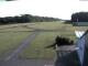 Webcam in Elz, 30.1 km