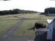 Webcam in Elz, 11.6 mi away