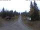 Webcam in Carlsfeld, 26.1 km