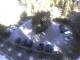 Webcam in Merano, 0.3 km