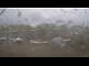 Webcam in Sande, 6.7 mi away