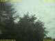 Webcam in Nettetal, 50.4 km entfernt