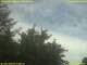 Webcam in Nettetal, 50.4 km