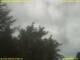 Webcam in Nettetal, 50.4 km