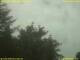 Webcam in Nettetal, 19.4 mi away
