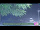 Webcam in Roncofreddo, 15.5 km