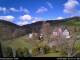 Webcam in Diedenshausen (Bad Berleburg), 3.5 mi away