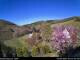 Webcam in Diedenshausen (Bad Berleburg), 3.5 mi away