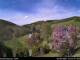 Webcam in Diedenshausen (Bad Berleburg), 7.1 km